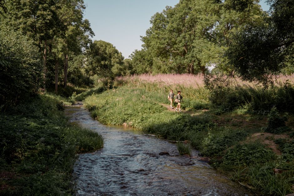 Streams, Ponds, and Puddles: Turning Water Into a Family Adventure