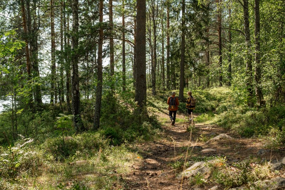The First Hike: How to Get Your Kids on the Trail Without the Tears