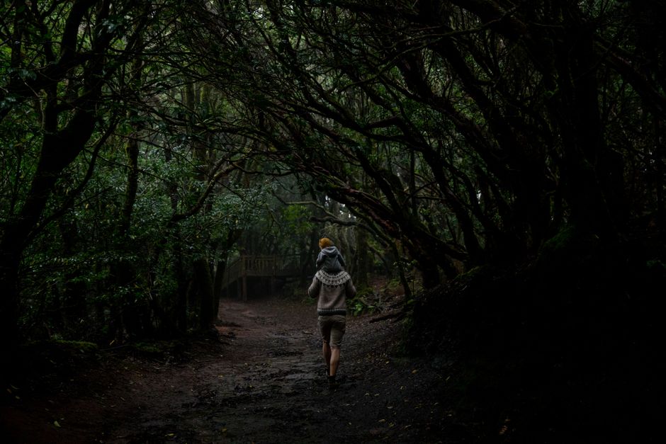 When Little Legs Give Out: Carrying Kids on the Trail Without the Struggle